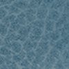 Swatch Color - Blue Coral