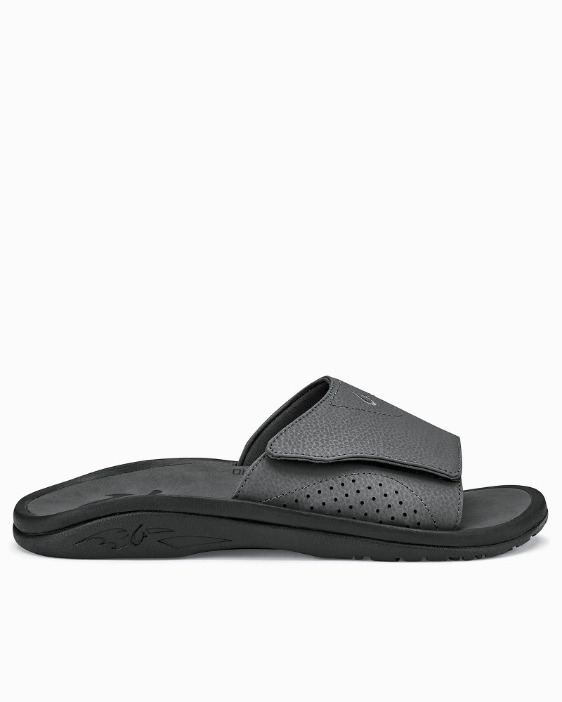 Tommy on sale bahama slides