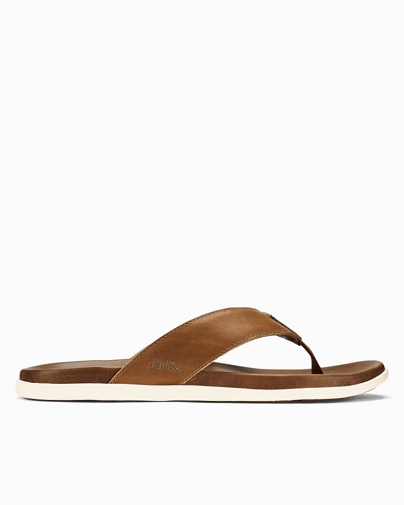 tommy bahama footwear