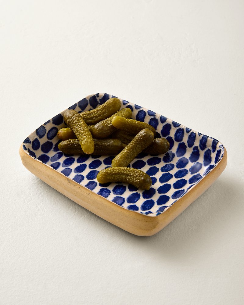 Terrafirma 6-Inch Dot Tray
