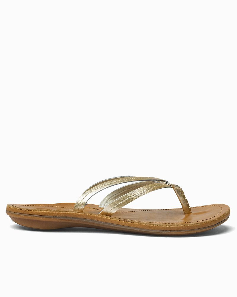tommy bahama starfish sandals