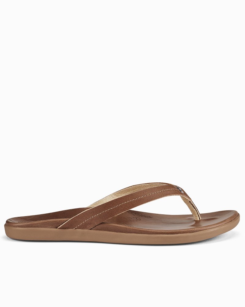 Tommy bahama flip flops on sale womens