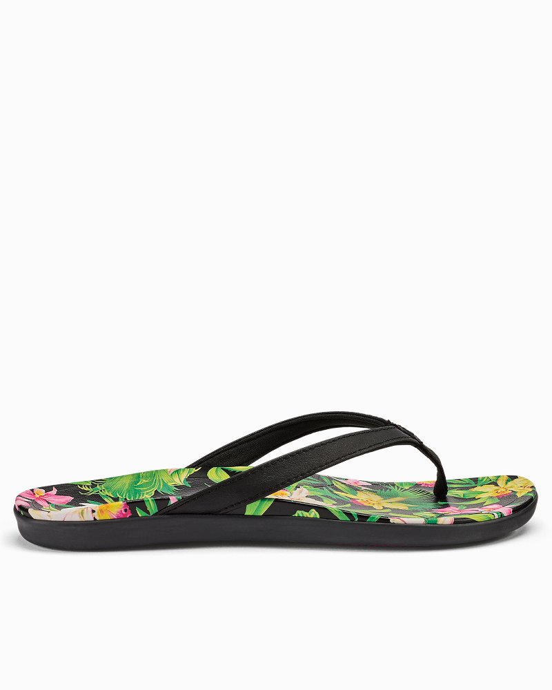 OluKai Ho'opio Women's – Trailhead Kingston