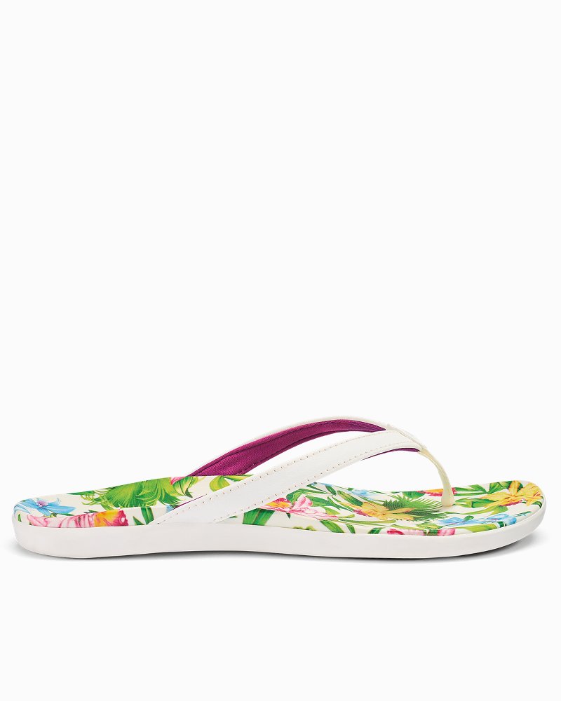 Tommy bahama flip flops hot sale womens