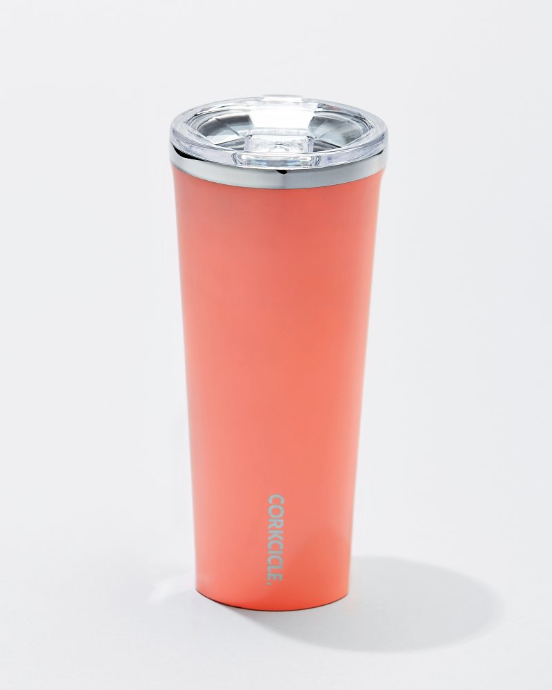 Disney Corkcicle Tumbler - Castles - Stainless Steel