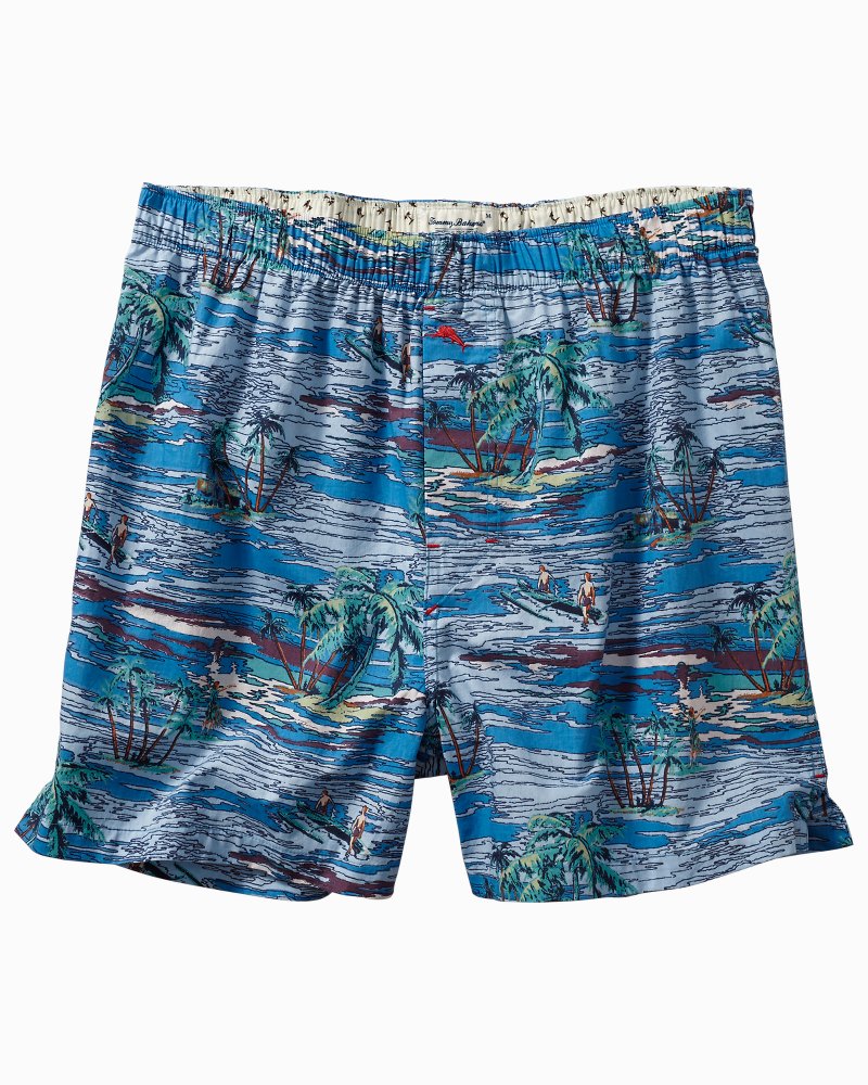 Boxers Hawaii Shirt, Boxers Shirts, Shirt For Men, Hawaiian Shirts, Boxers Gifts HO2335 main image 0