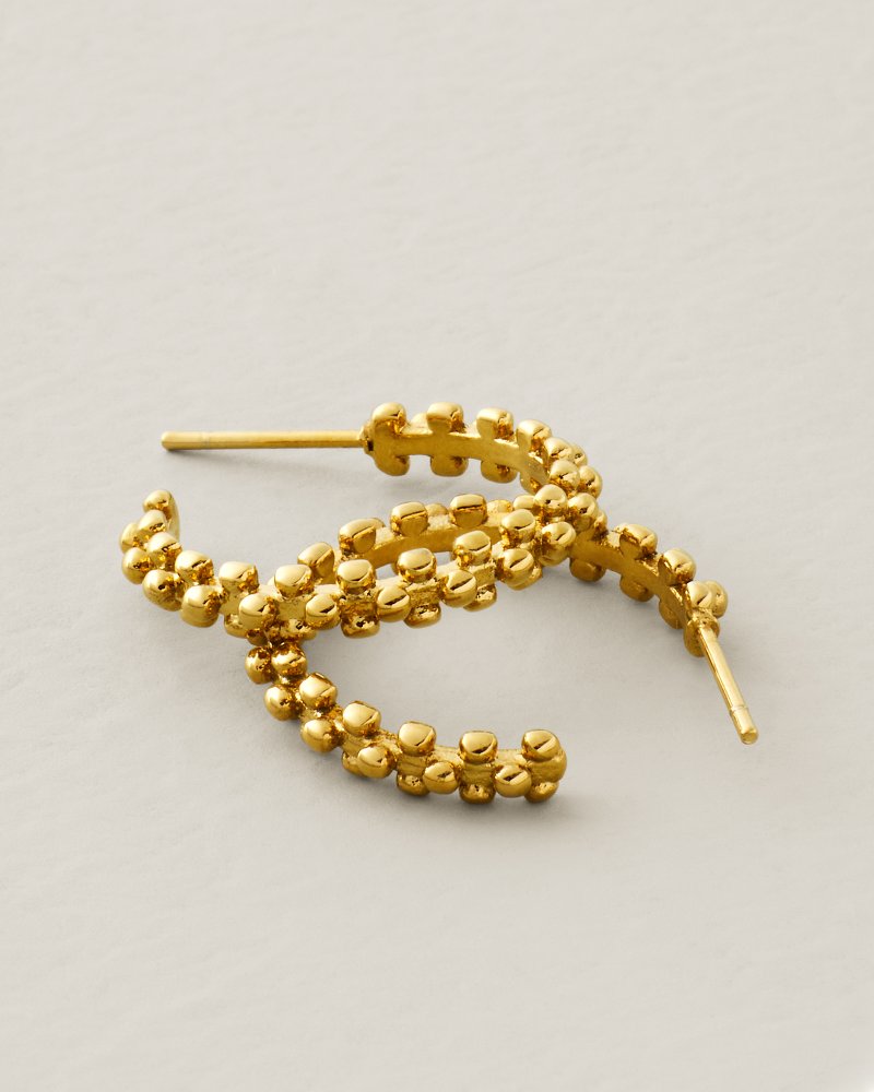 Splash Collection Telfair Hoop Earrings