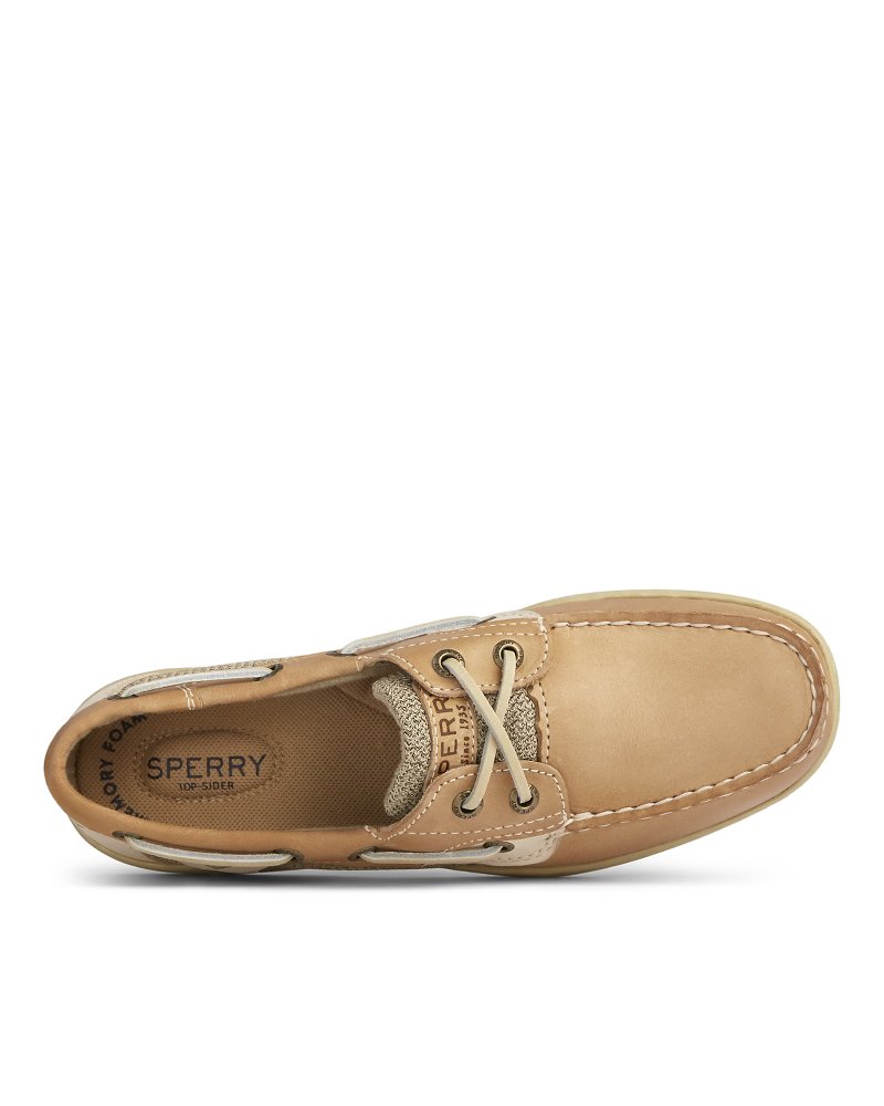 Sperry on sale bluefish shoes