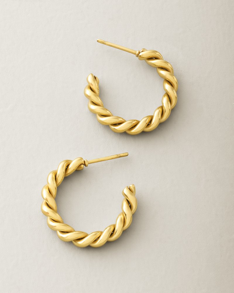 Splash Collection Mitchelville Hoop Earrings