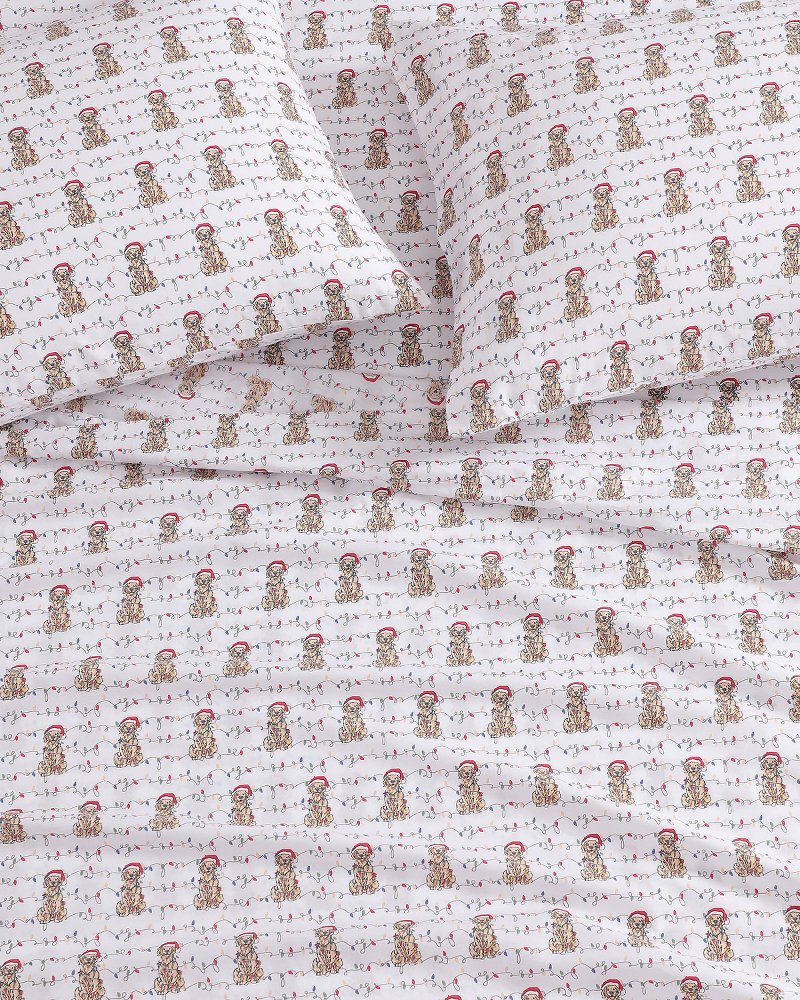 Wrapped Up King 4-Piece Sheet Set