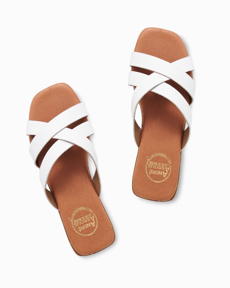 Tommy bahama flip clearance flops womens