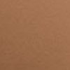 Swatch Color - Camel