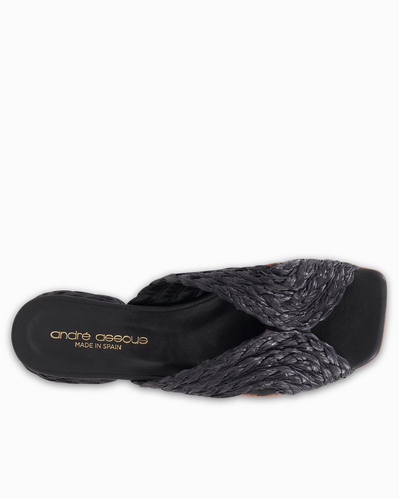 Thumbnail for André Assous Ramy Raffia Sandals