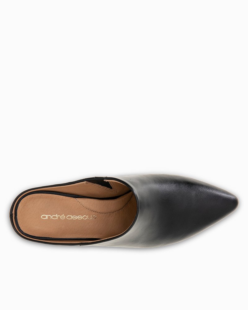 André Assous Wyatt Leather Mules