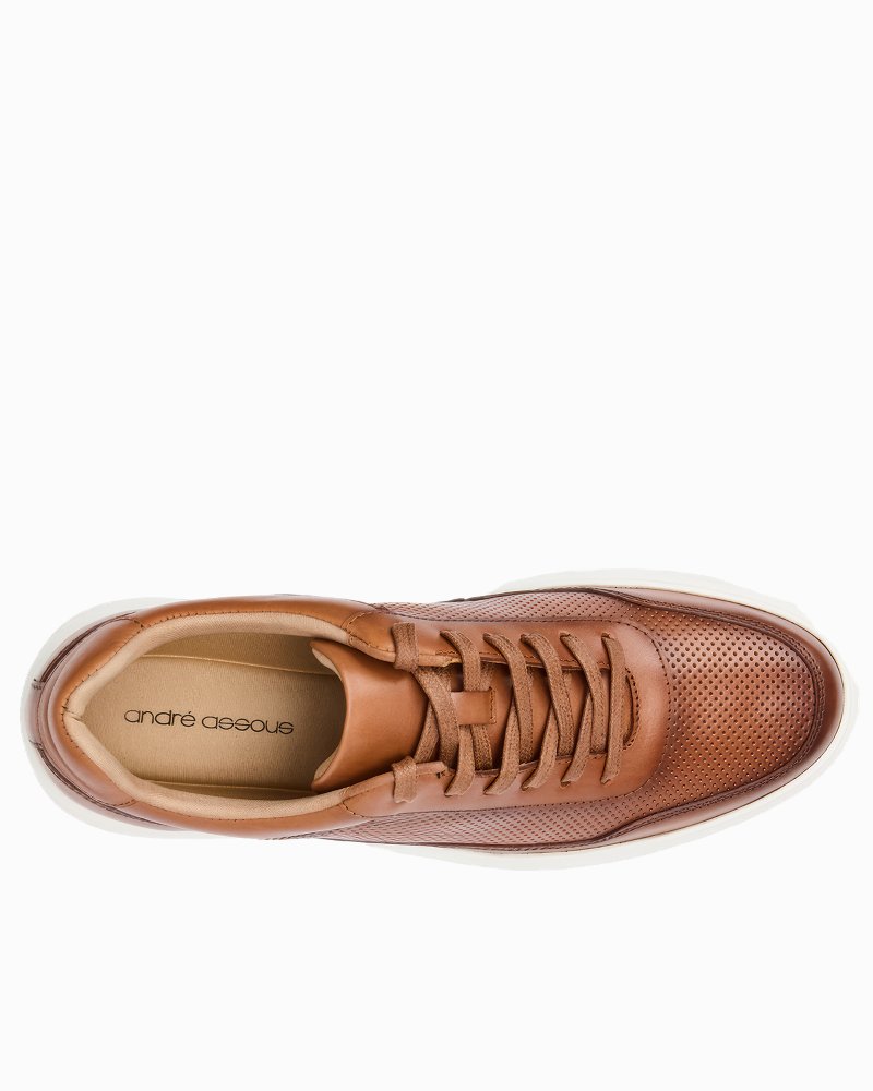 André Assous Andrew Cognac Leather Sneakers