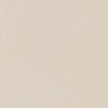 Swatch Color - Bone