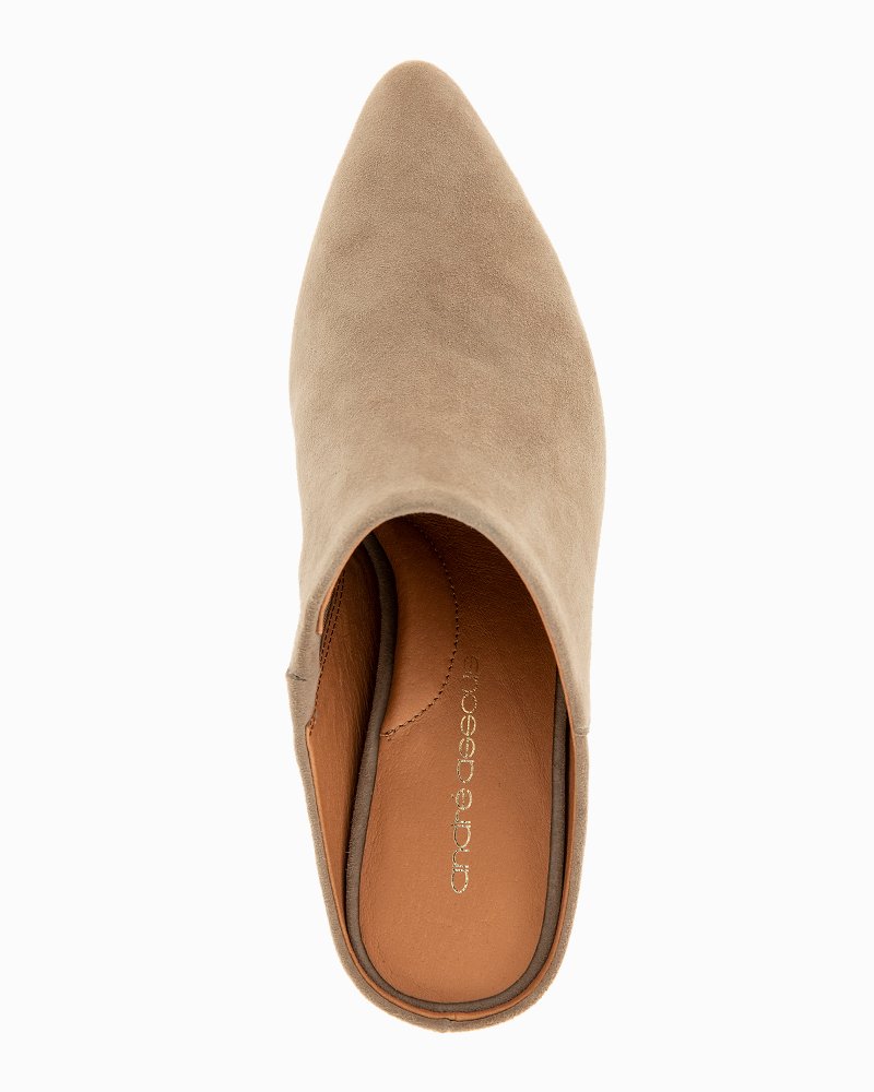 André Assous Wyatt Suede Mules