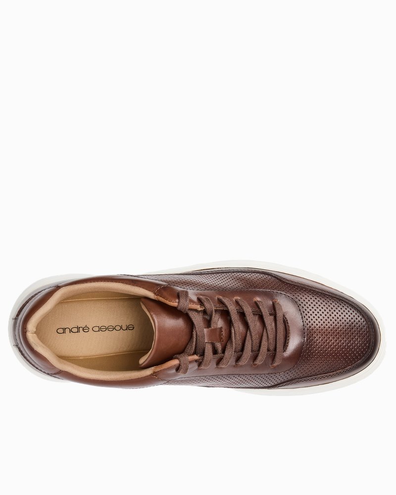 André Assous Andrew Brown Leather Sneakers