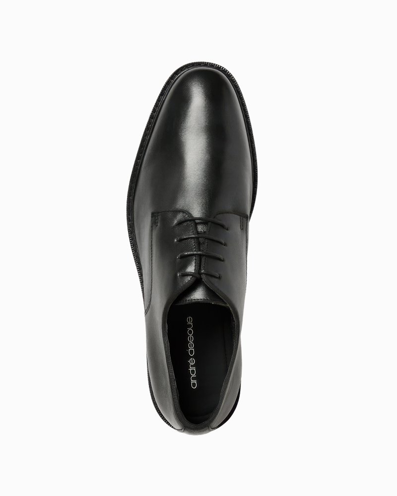 André Assous Arturo Leather Derby Shoes