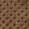 Swatch Color - Taupe
