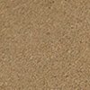 Swatch Color - Taupe