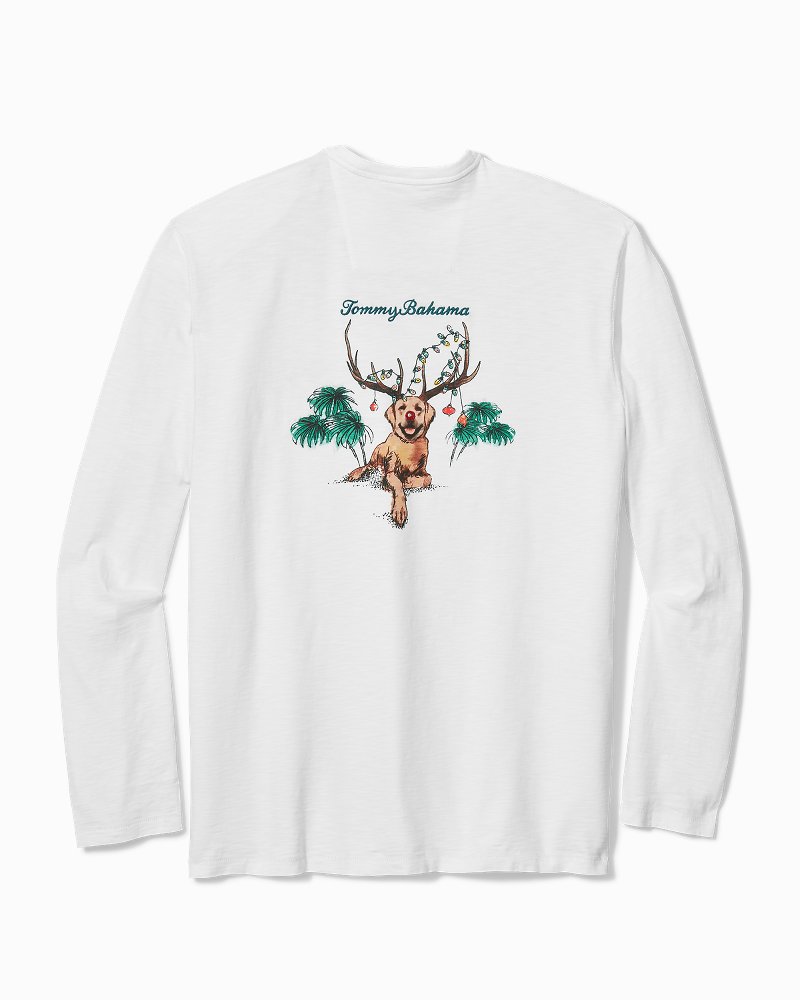 Tommy bahama 2025 dog shirt