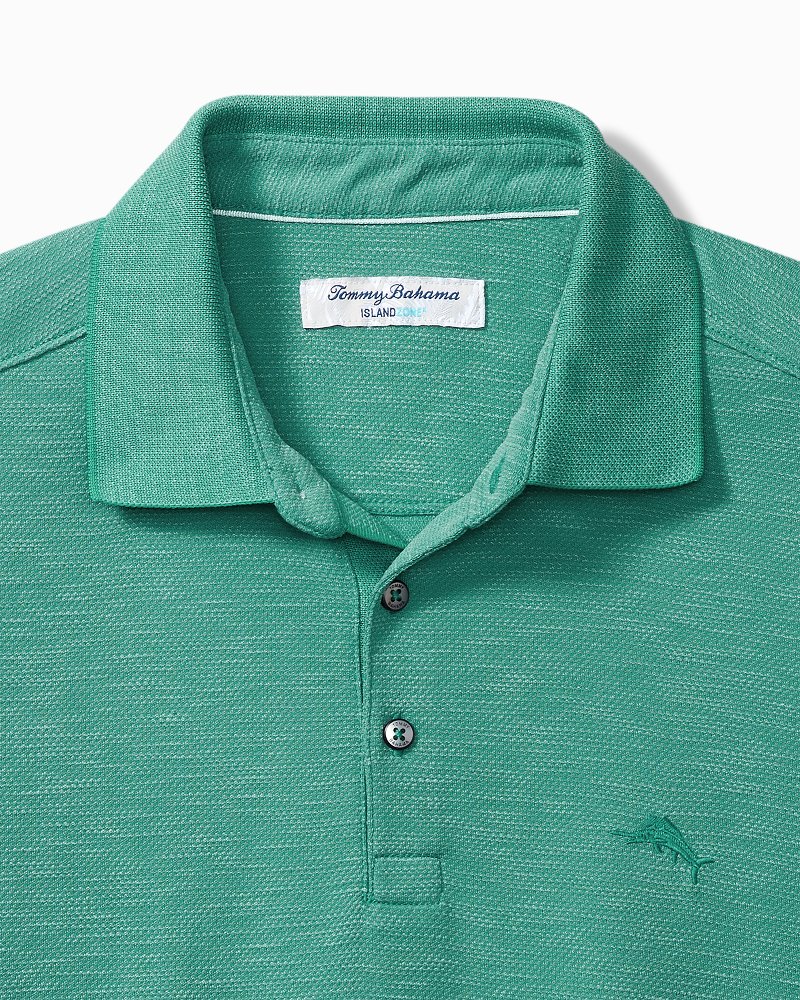 Big & Tall Via Verde IslandZone® Polo