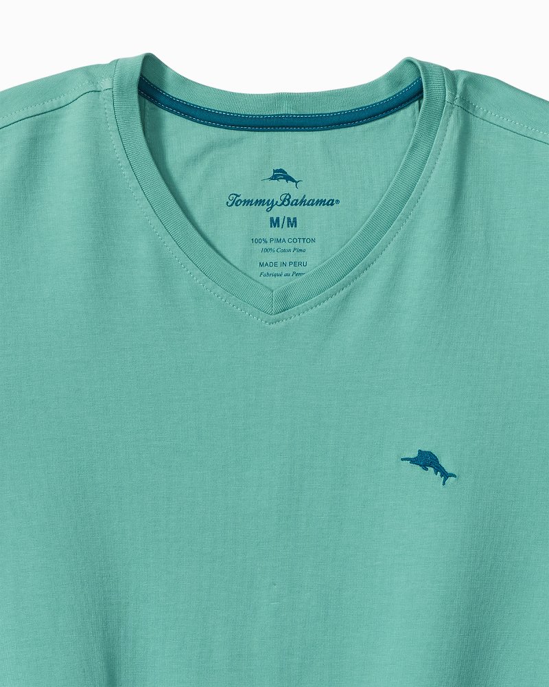 Big & Tall New Bali Skyline V-Neck T-Shirt