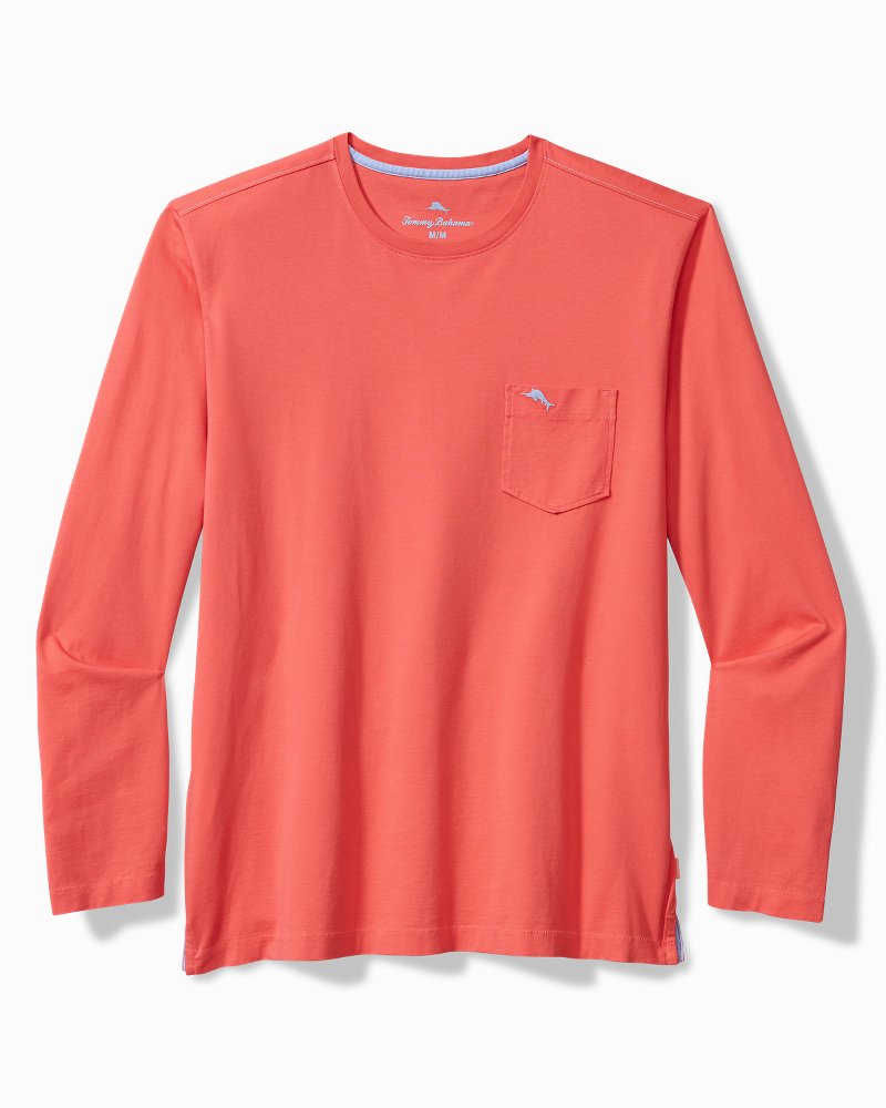 Shop Hollister Long Sleeve T Shirt online - Jan 2024