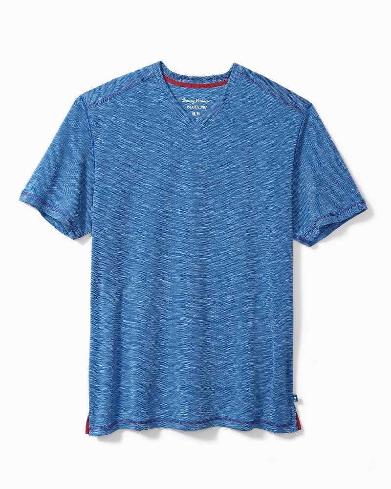 Thumbnail for Big & Tall Cool Tropic V-Neck T-Shirt