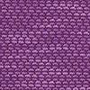 Swatch Color - Purple Chordata