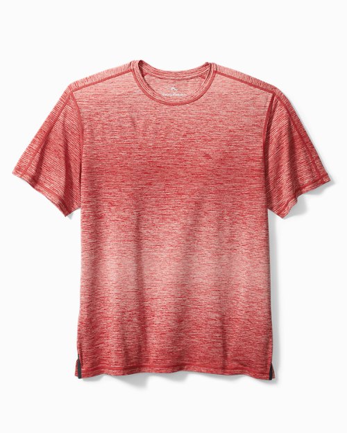 Big & Tall Hood River IslandZone® Short-Sleeve Crewneck T-Shirt