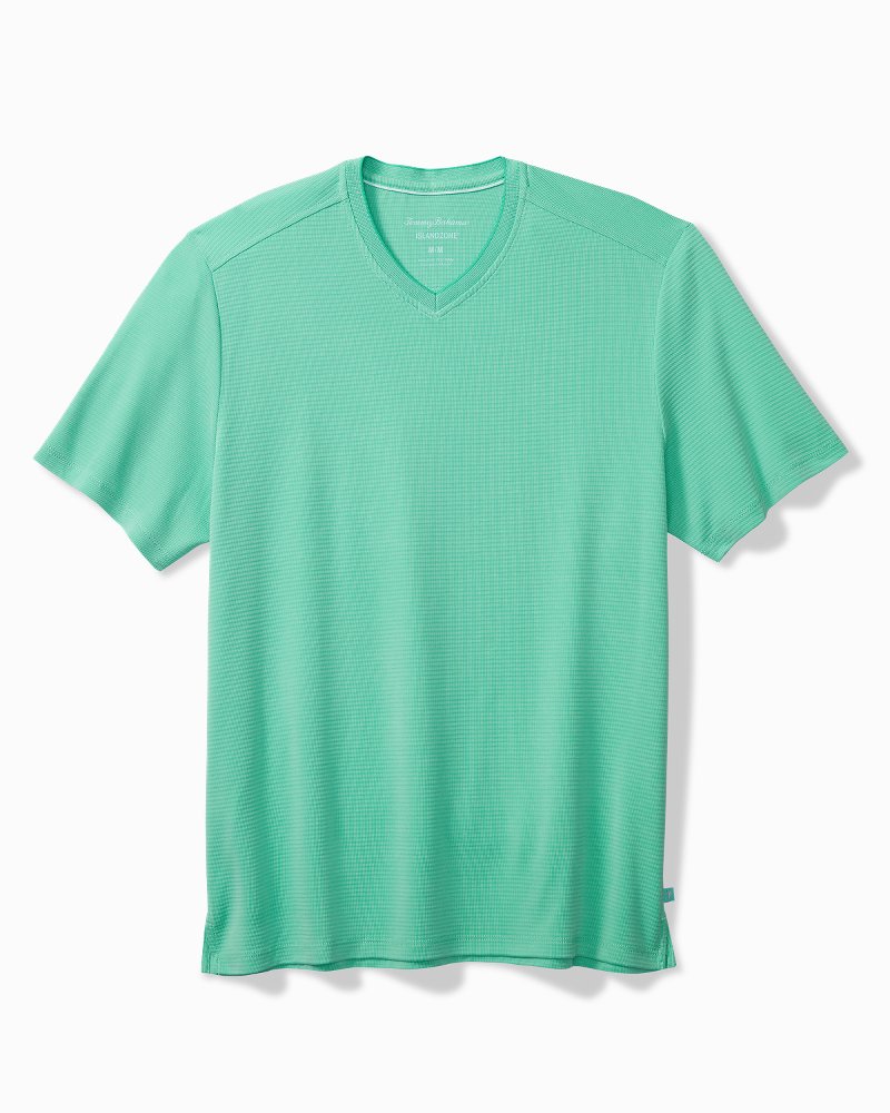 Big & Tall Coastal Crest IslandZone® V-Neck Shirt