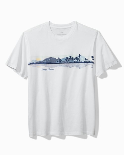 Big & Tall Eye on the Horizon Graphic T-Shirt