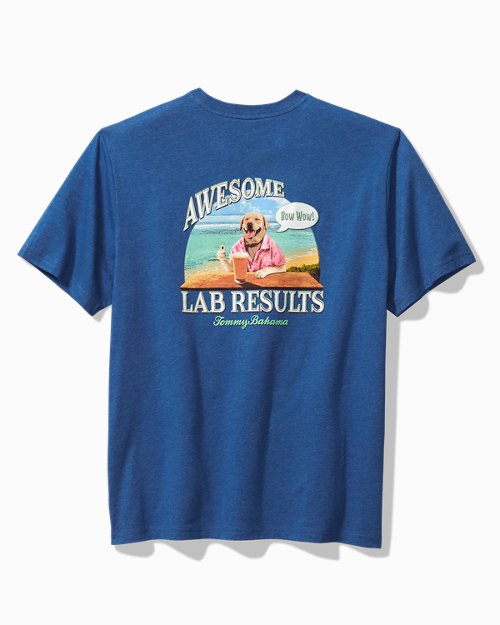 Big & Tall Awesome Lab Results Graphic T-Shirt