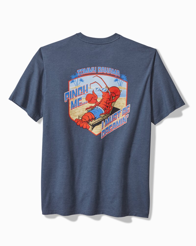 Big & Tall Pinch Me I Must Be Dreamin Graphic T-Shirt