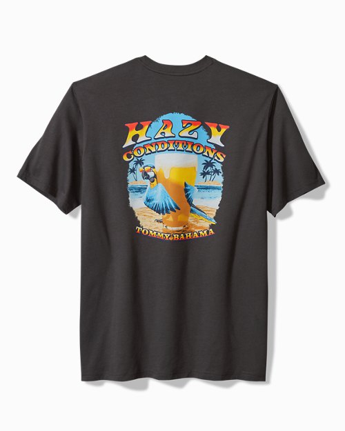 Big & Tall Hazy Conditions Graphic T-Shirt