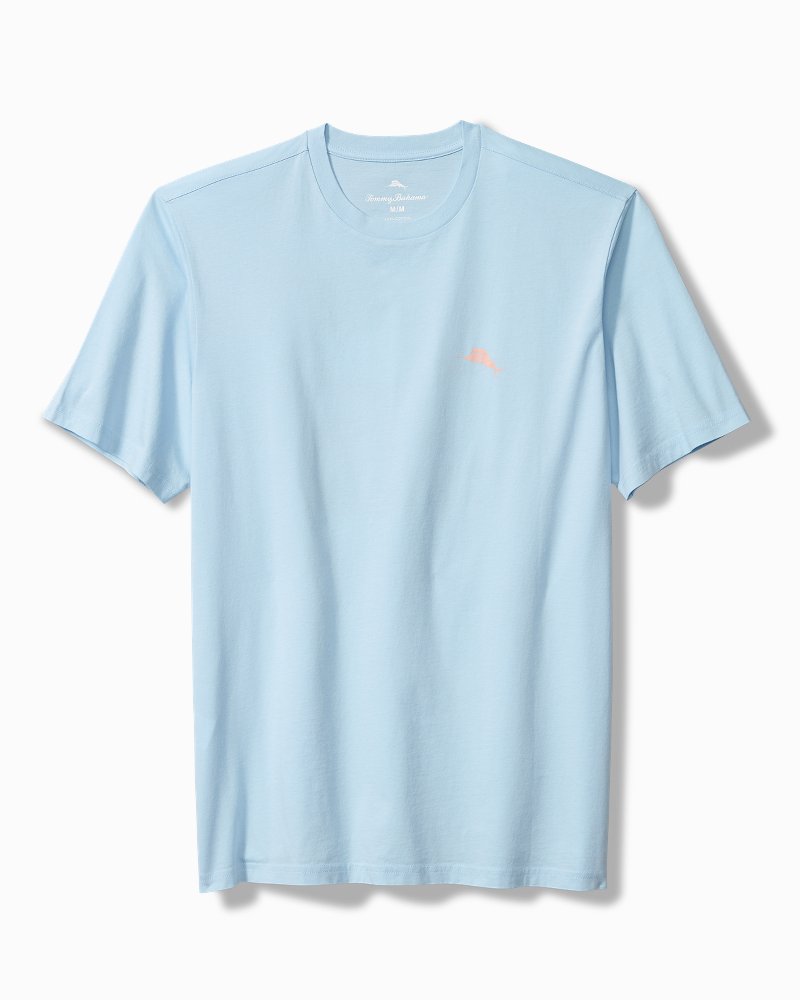 Thumbnail for Big & Tall Misty Mornings Graphic T-Shirt