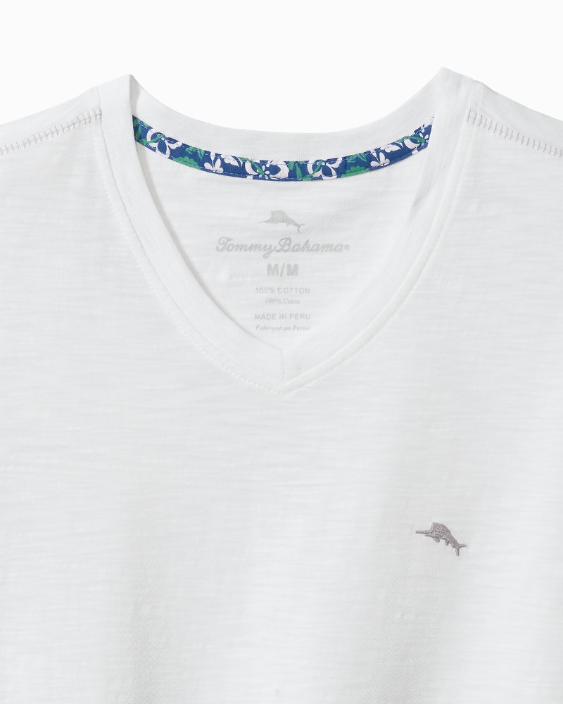 Thumbnail for Big & Tall Bali Beach V-Neck T-Shirt