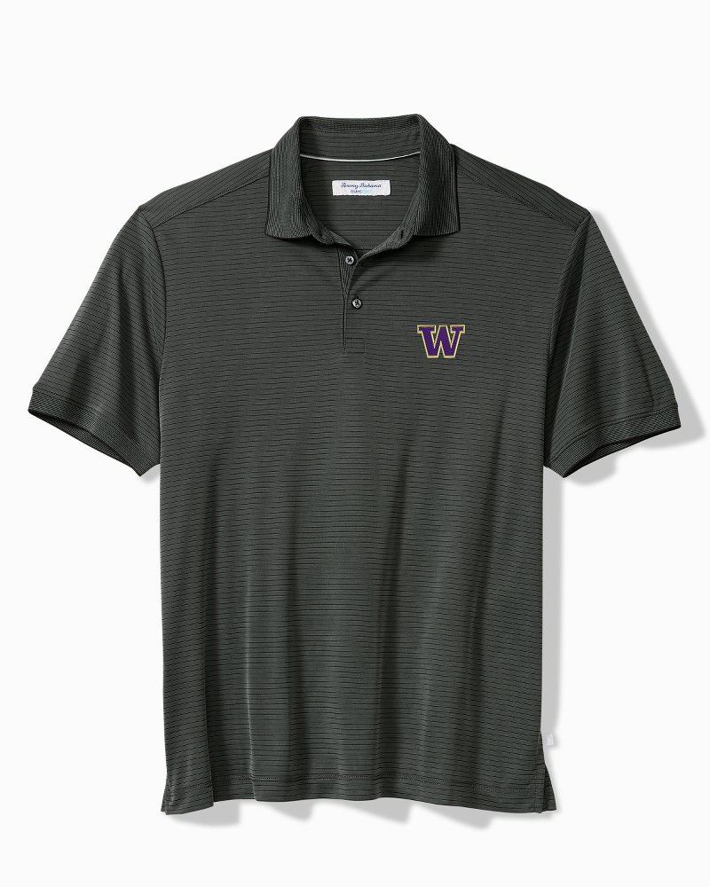 Big & Tall Collegiate Bay Stripe IslandZone Polo