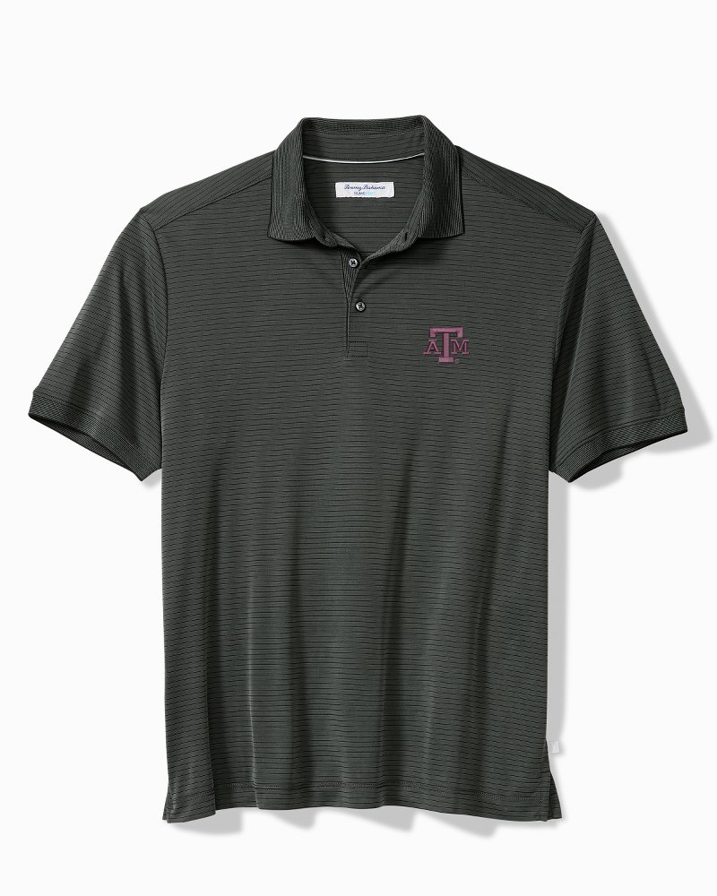 Big & Tall Collegiate Bay Stripe IslandZone Polo