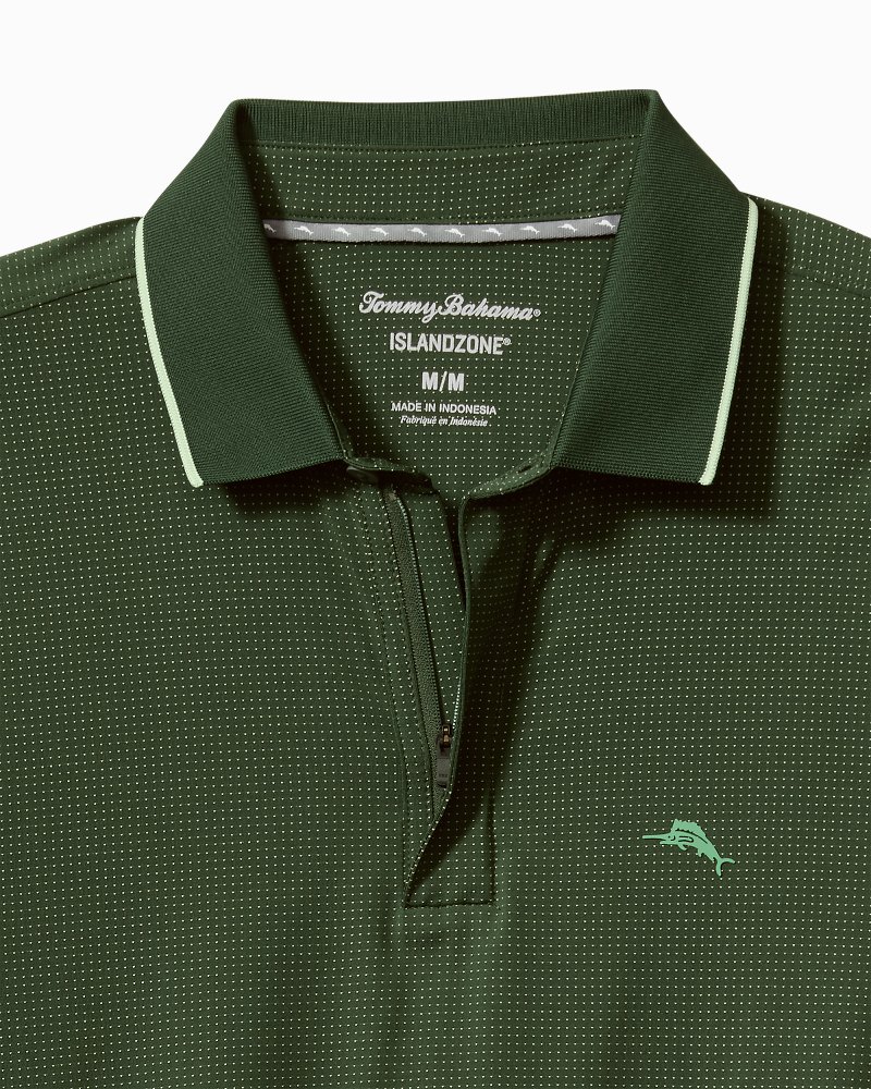 Big & Tall Palm Desert Fairway IslandZone® Long-Sleeve Polo