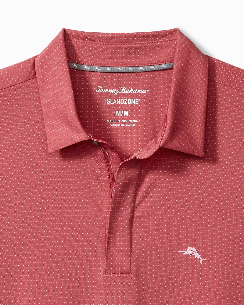 Big & Tall Palm Desert Oasis IslandZone® Polo