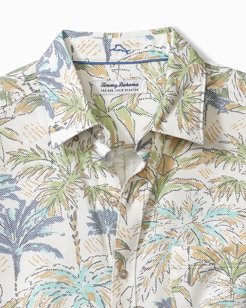 Big & Tall San Lucio Palm Orchard Stretch Knit Shirt