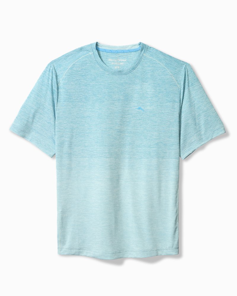 Big & Tall Oasis Fade IslandZone Crewneck T-Shirt