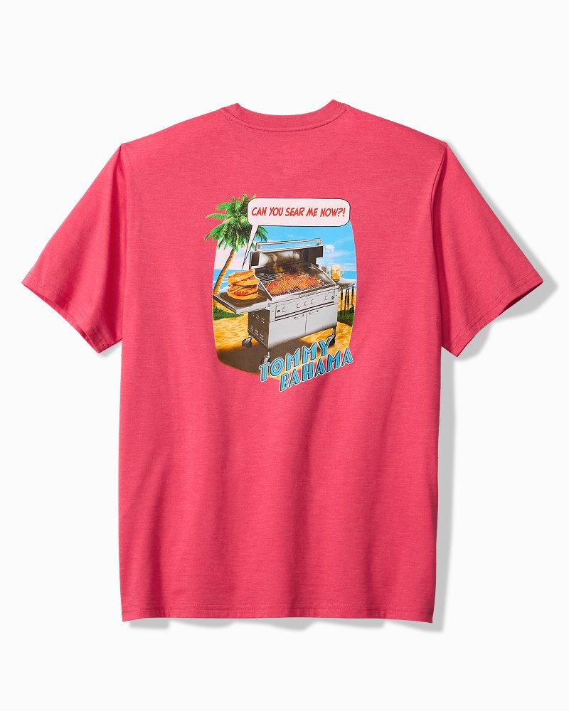 Big & Tall Can You Sear Me Now Graphic T-Shirt
