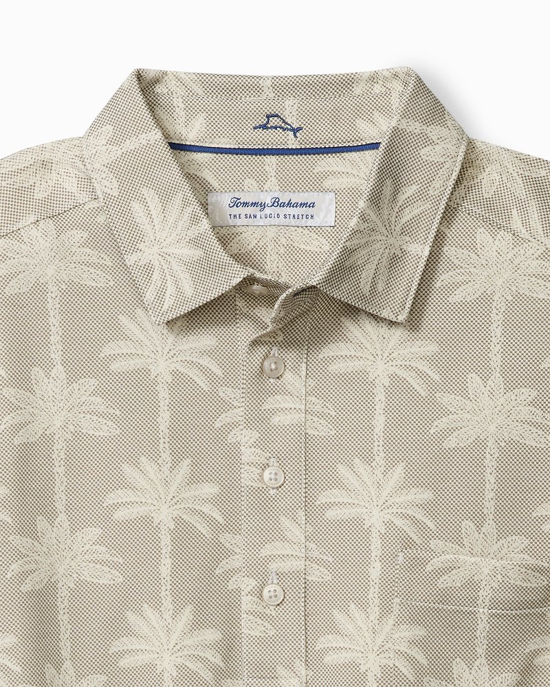 Big & Tall San Lucio Palm Lanes Stretch Knit Polo