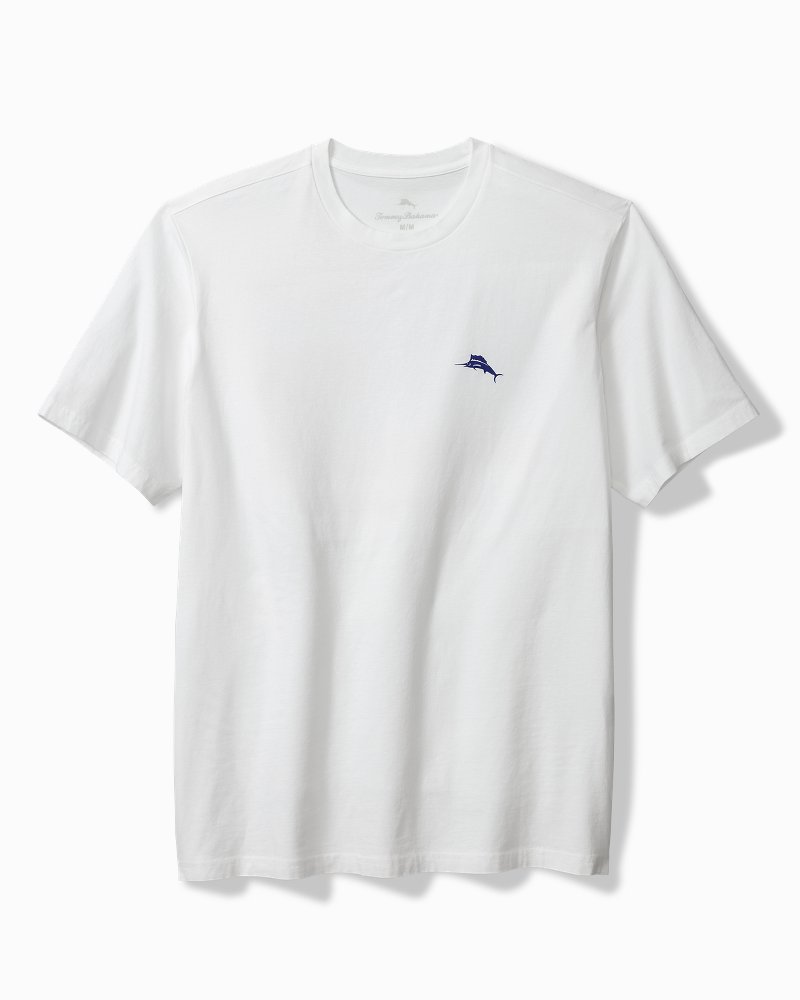 Big & Tall Americana Boardblock Graphic T-Shirt