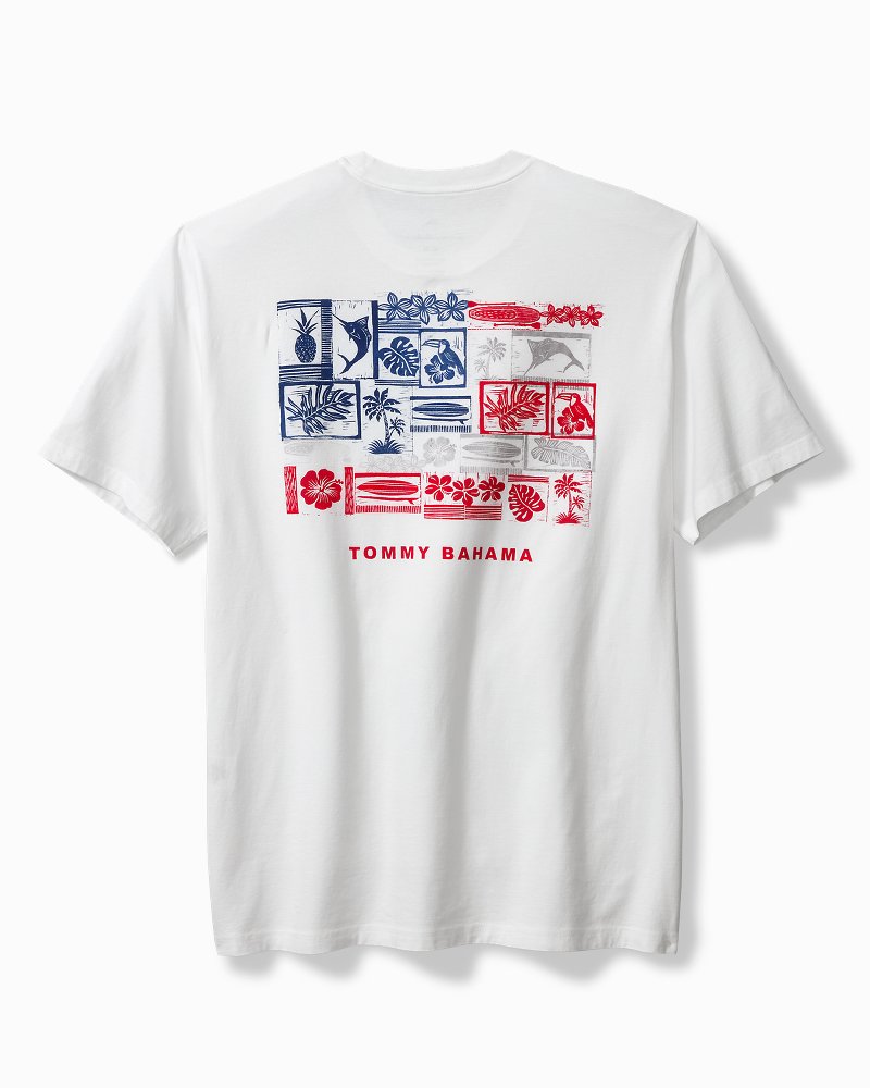 Big & Tall Americana Boardblock Graphic T-Shirt