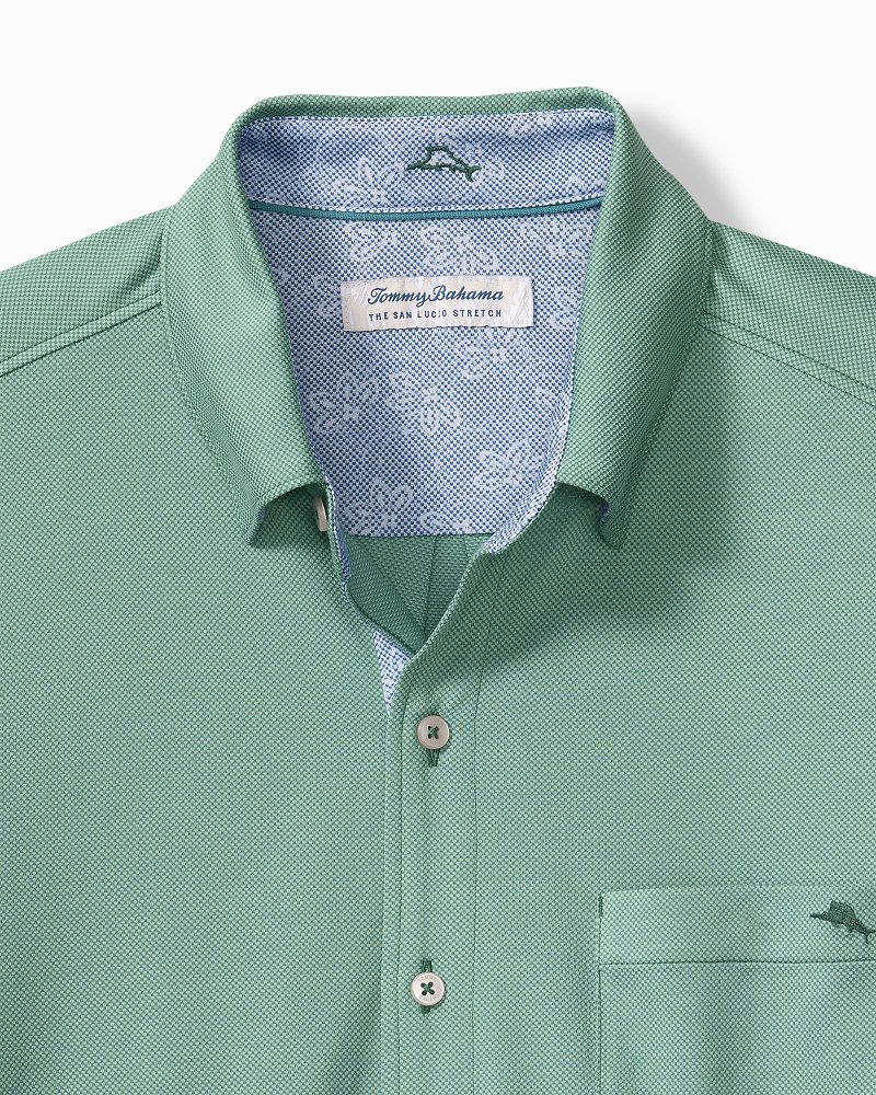 Big & Tall San Lucio Lotus Happy Hour Stretch Knit Shirt